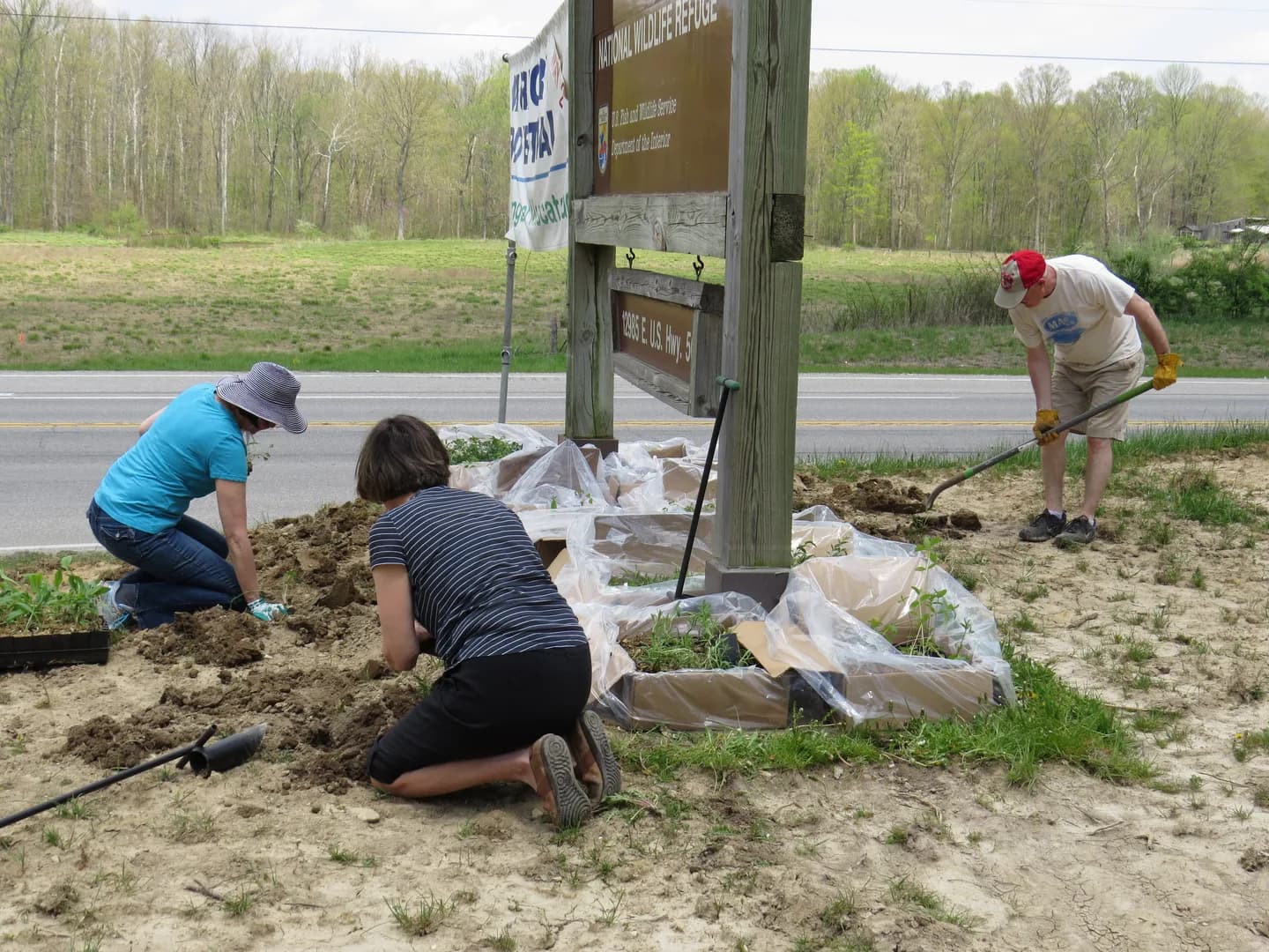 Volunteers planting native wildflowers at a wildlife refuge